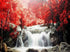Red Trees & Waterfall Diamond Painting